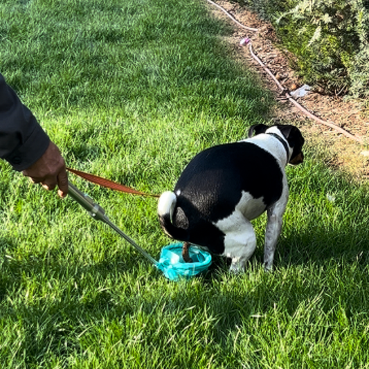 Avfallsuppfångare för hund