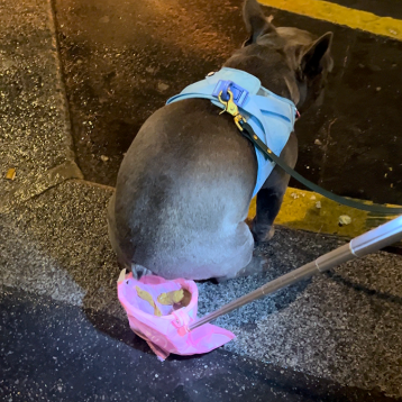 Avfallsuppfångare för hund