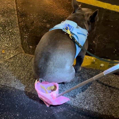 Avfallsuppfångare för hund