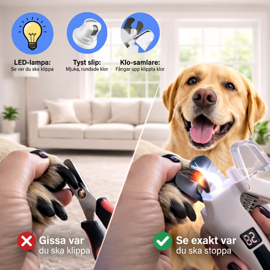 2-i-1 LED-kloklippare och kloslip för katter och hundar